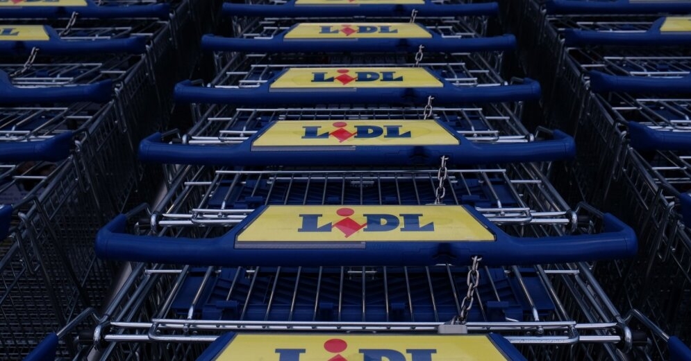 In the retail industry, the fear of ‘Lidl’ vibrates in the air: how small store chains are going